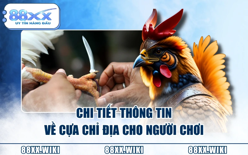 Chi tiết thông tin về cựa chỉ địa cho người chơi