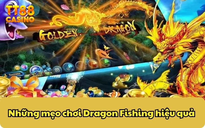 Dragon Fishing Online Cực Hot - Đăng Ký Mới Nhận Ngay 125k 5 Những mẹo chơi Dragon Fishing hiệu quả